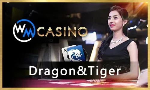 Exciting Promotions