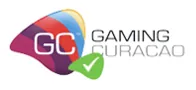 Headset icon representing 24/7 customer support